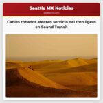 Robos de cables de cobre afectan servicio del tren ligero en Sound Transit
