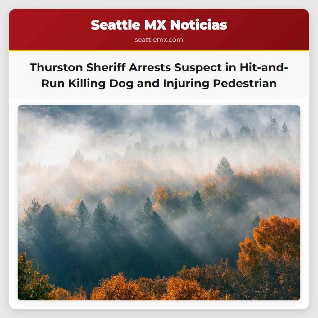 Thurston Sheriff Arrests Suspect in Hit-and-Run