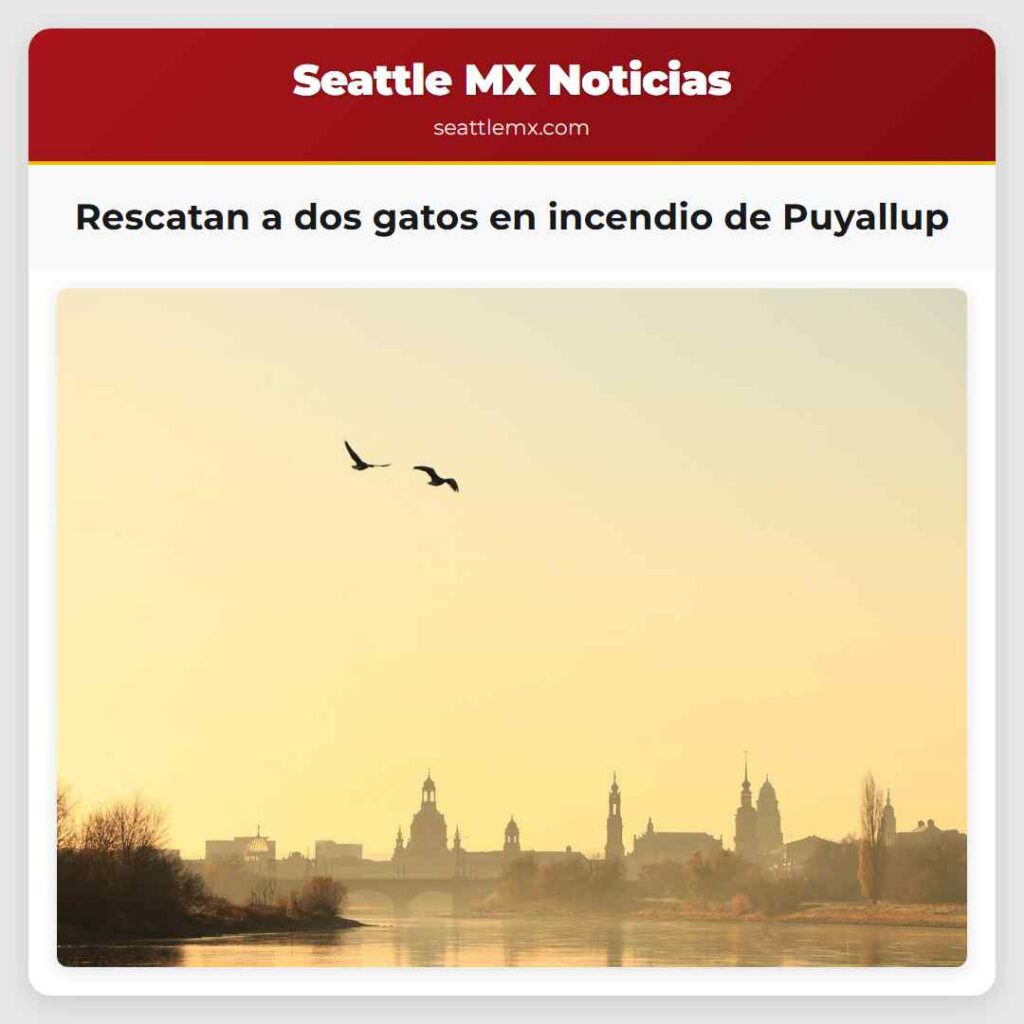 Rescatan a dos gatos en incendio de Puyallup