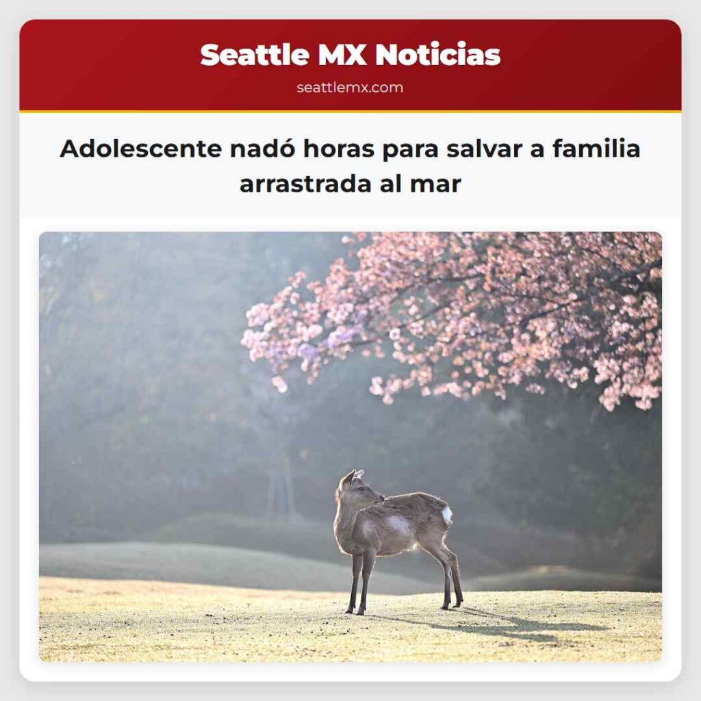 Noticias De Seattle 1 Adolescente nadó horas para salvar a familia