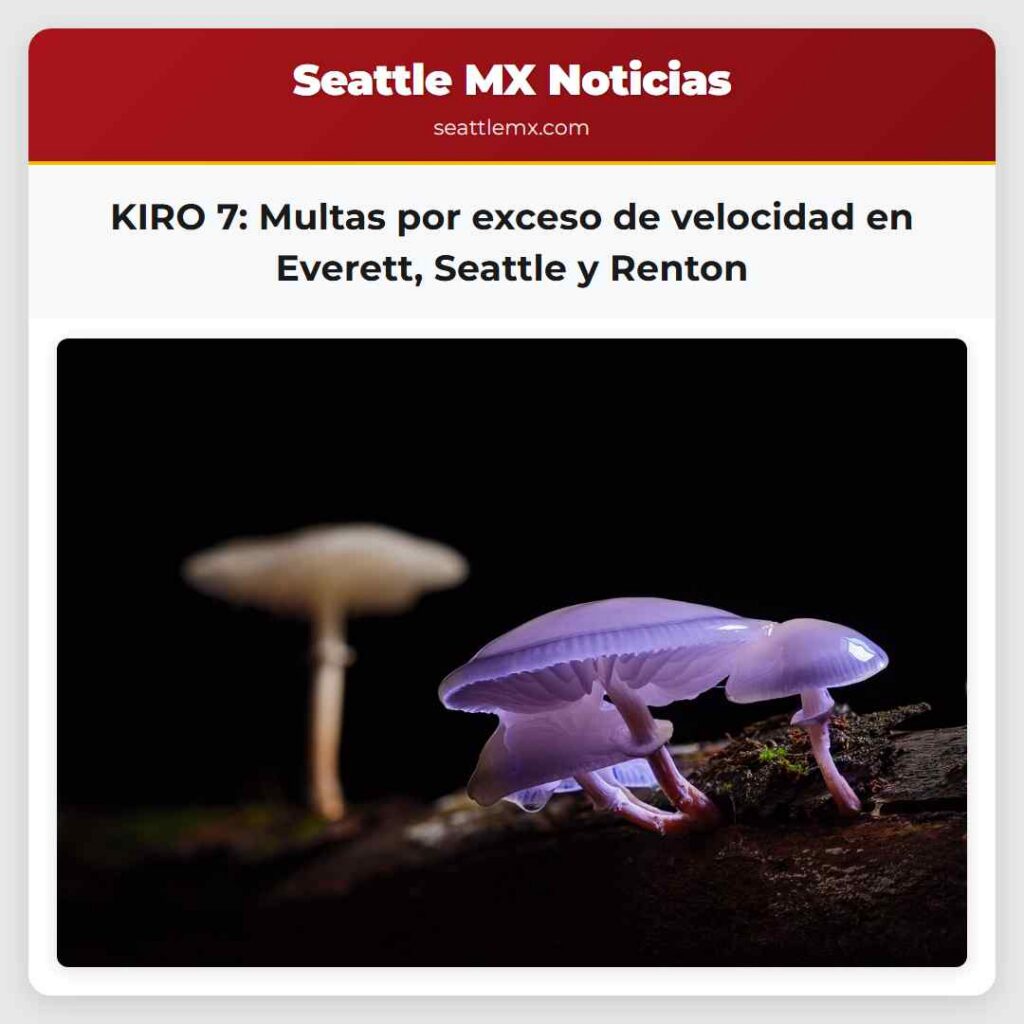 KIRO 7: Multas por exceso de velocidad en