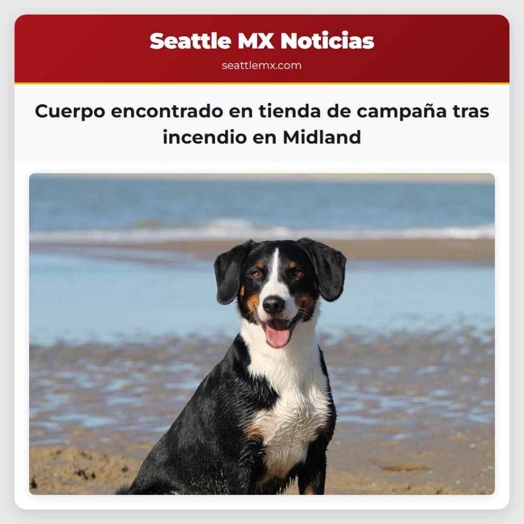 Cuerpo encontrado en tienda de campaña tras