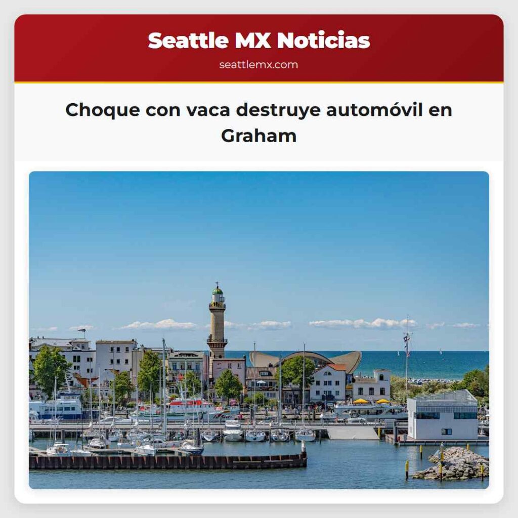 Choque con vaca destruye automóvil en Graham