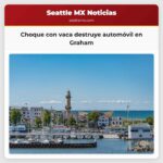 Un automóvil se estrella contra una vaca en Graham