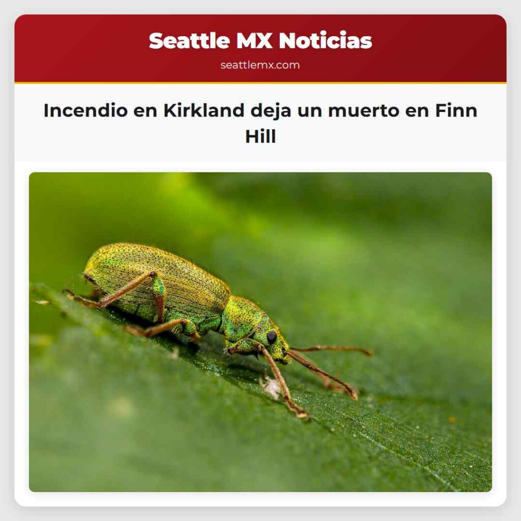 Incendio en Kirkland deja un muerto en Finn Hill