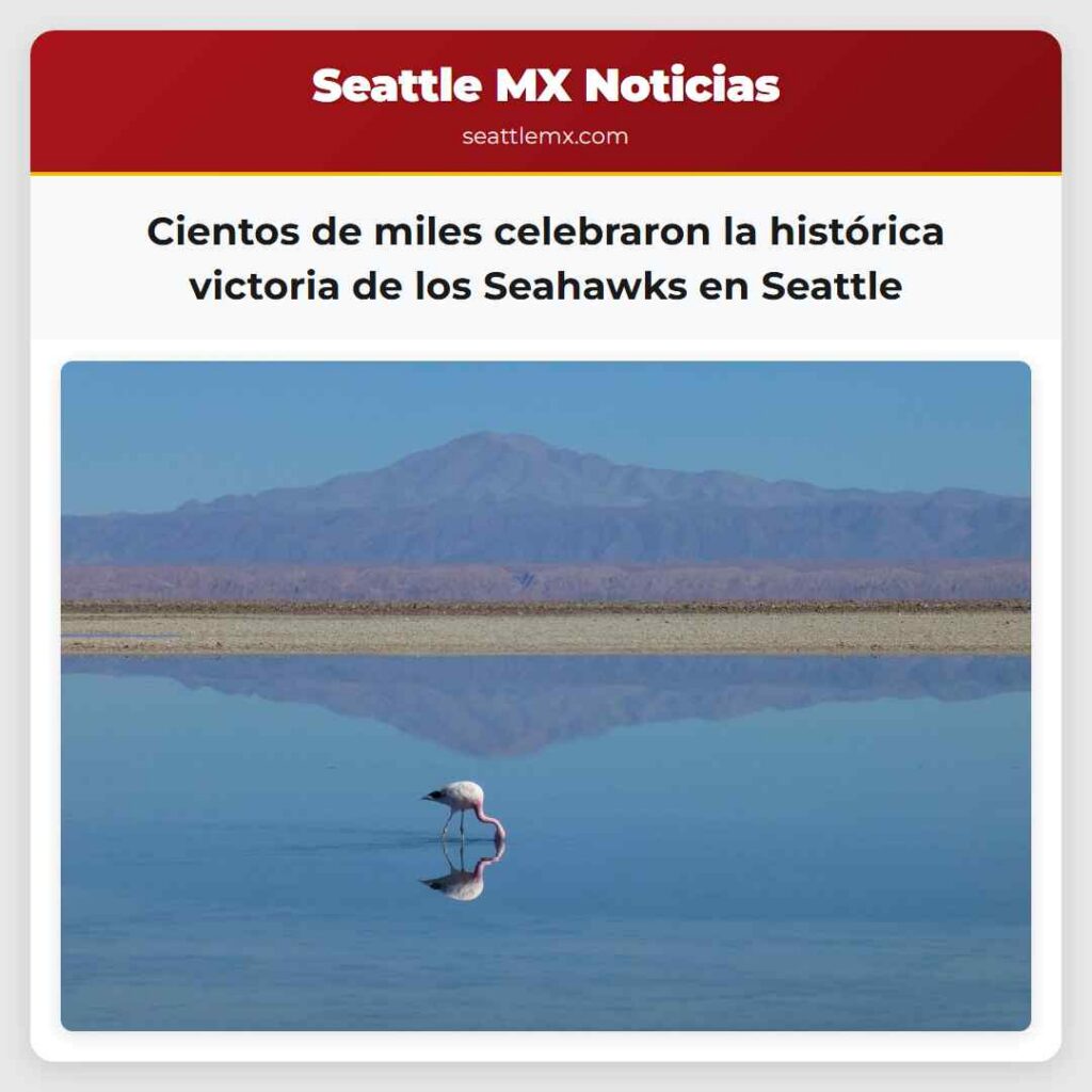 Cientos de miles celebraron la histórica victoria