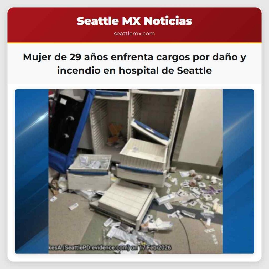 Mujer de 29 años enfrenta cargos por daño y