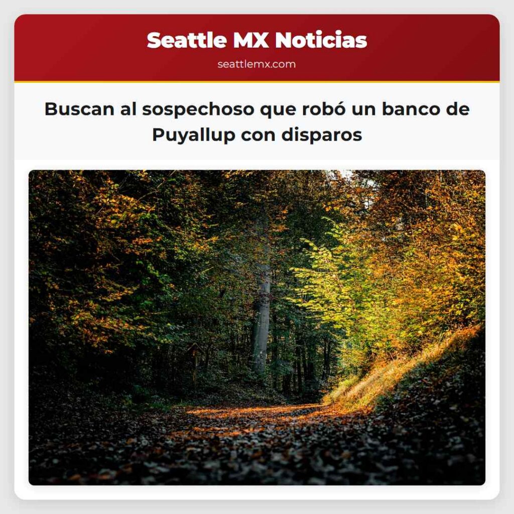 Buscan al sospechoso que robó un banco de