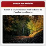 Buscan al sospechoso que robó un banco de Puyallup con disparos