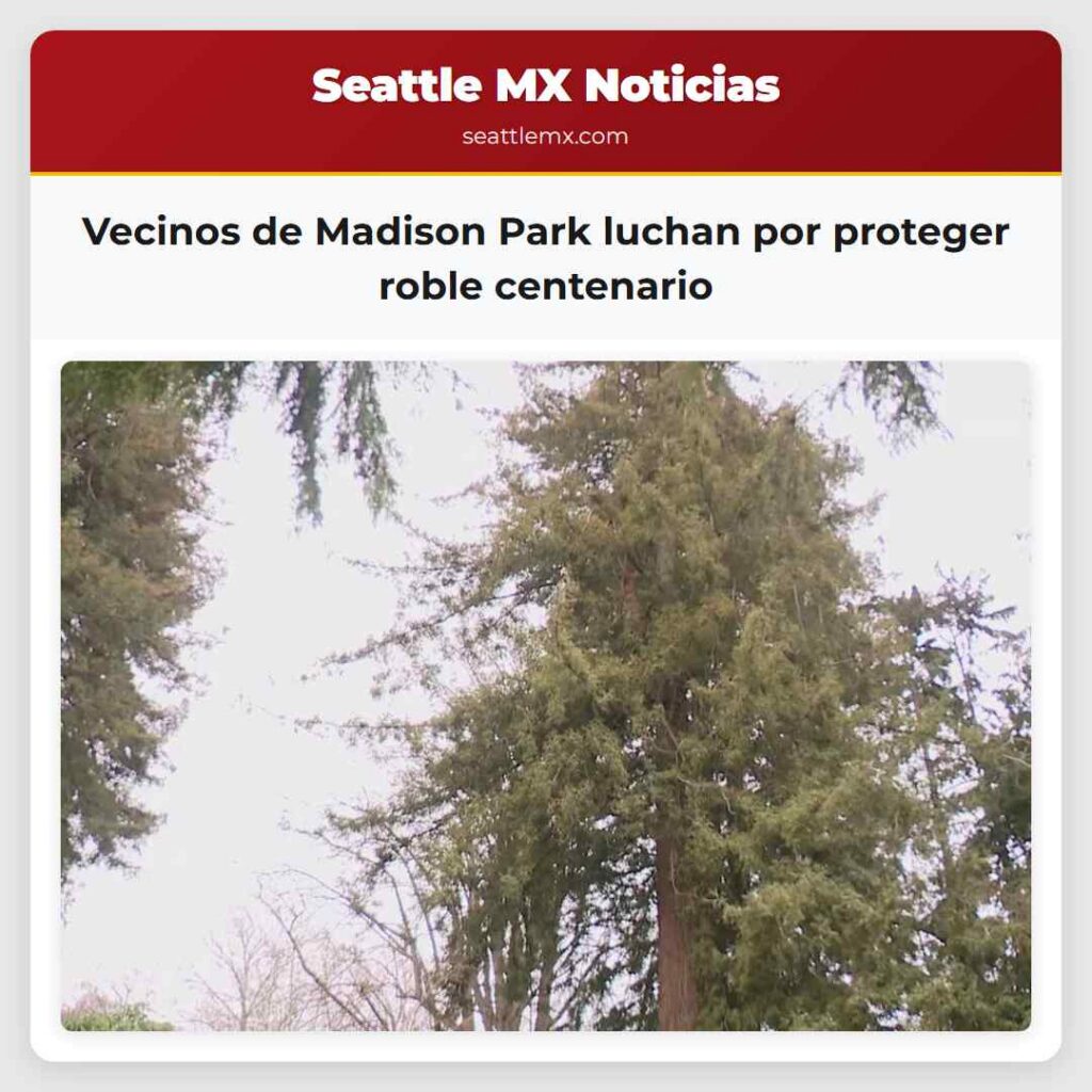 Vecinos de Madison Park luchan por proteger roble