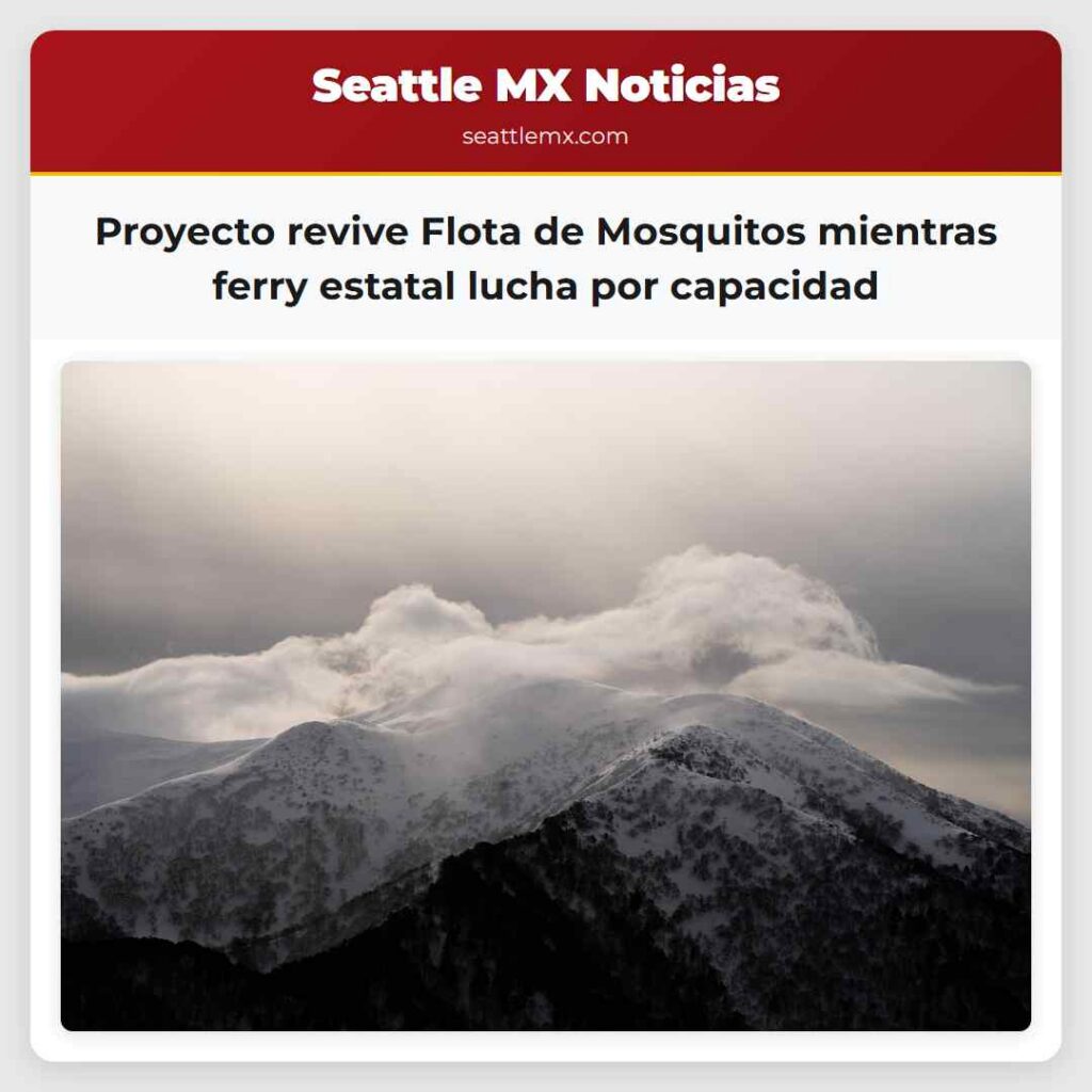 Proyecto revive Flota de Mosquitos mientras ferry