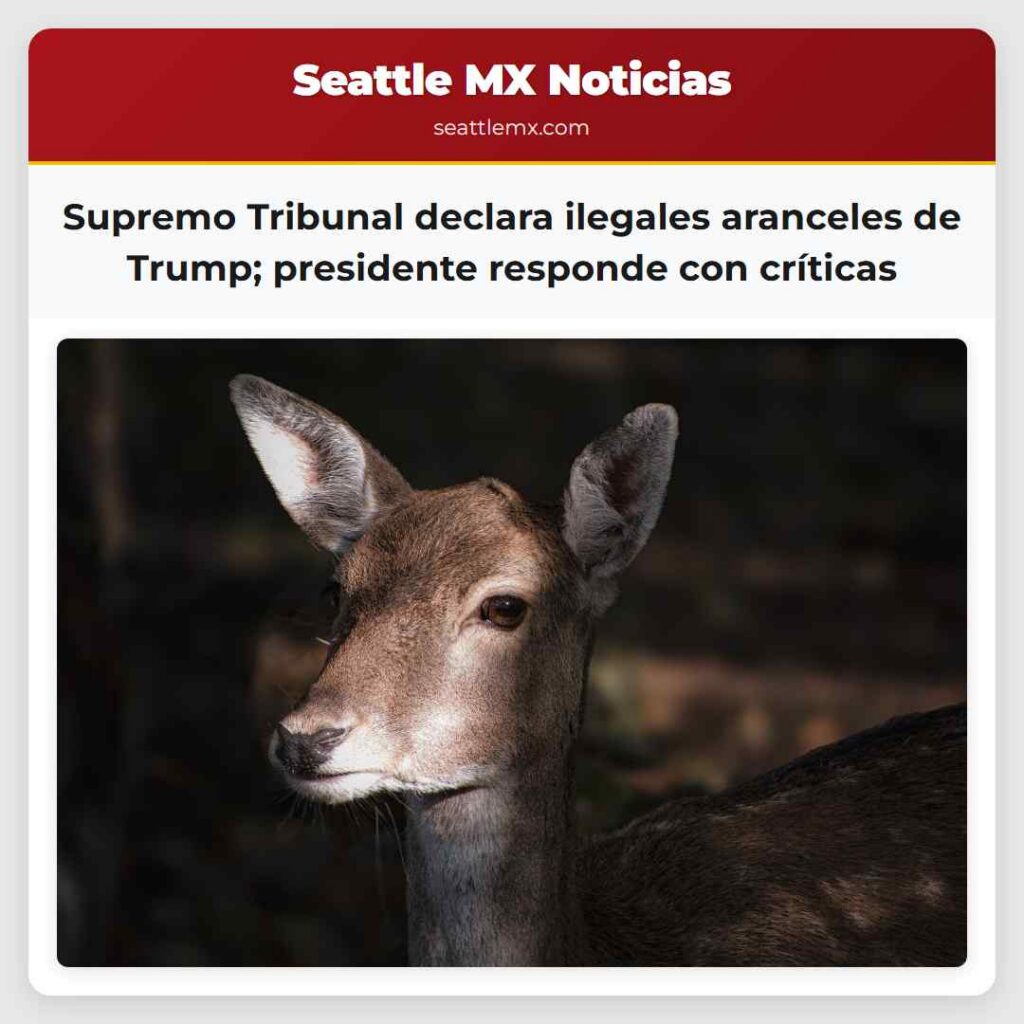 Supremo Tribunal declara ilegales aranceles de