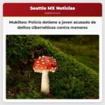 Mukilteo Policía detiene a joven acusado de delitos cibernéticos contra menores