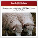 Diez menores en custodia del Servicio de Protección Infantil tras investigación sobre una muerte en Maple Valley