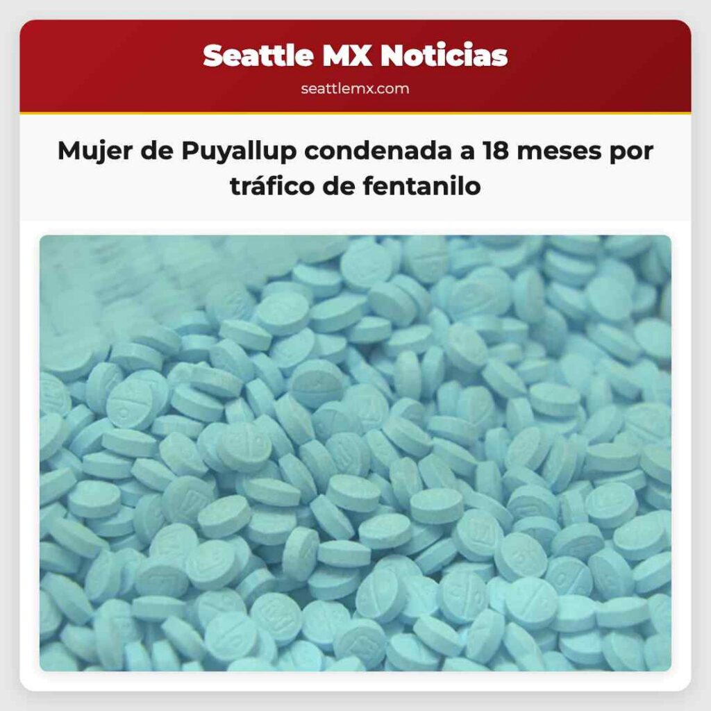 Noticias De Seattle 3 Mujer de Puyallup condenada a 18 meses por