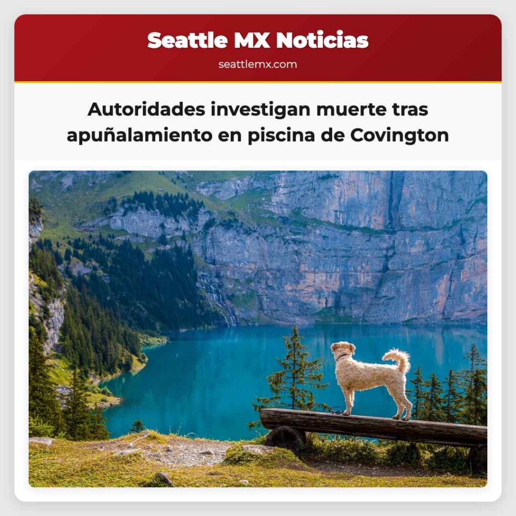 Autoridades investigan muerte tras apuñalamiento