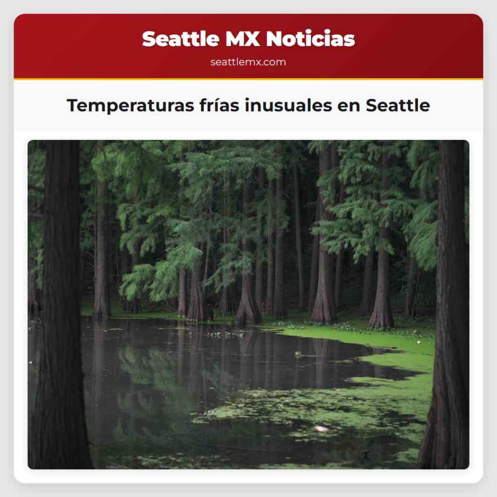 Temperaturas frías inusuales en Seattle