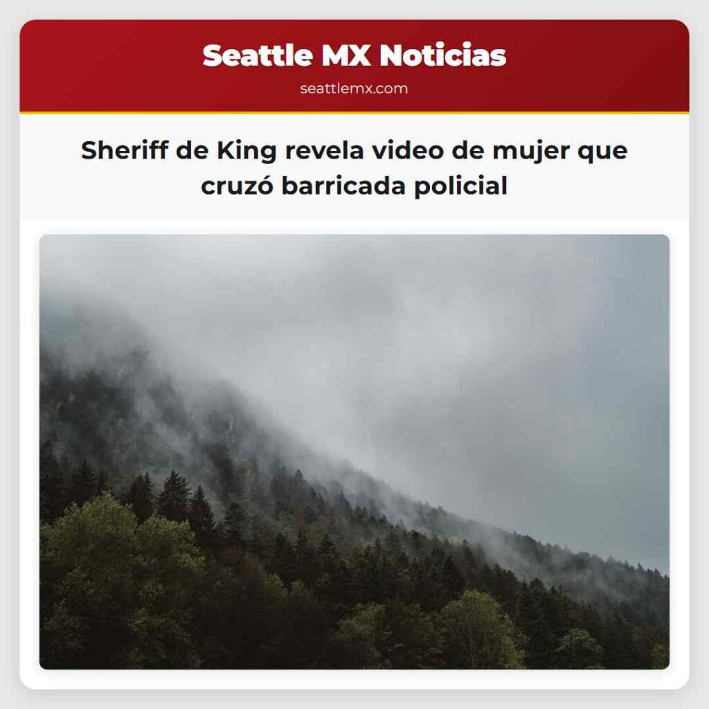 Sheriff de King revela video de mujer que cruzó