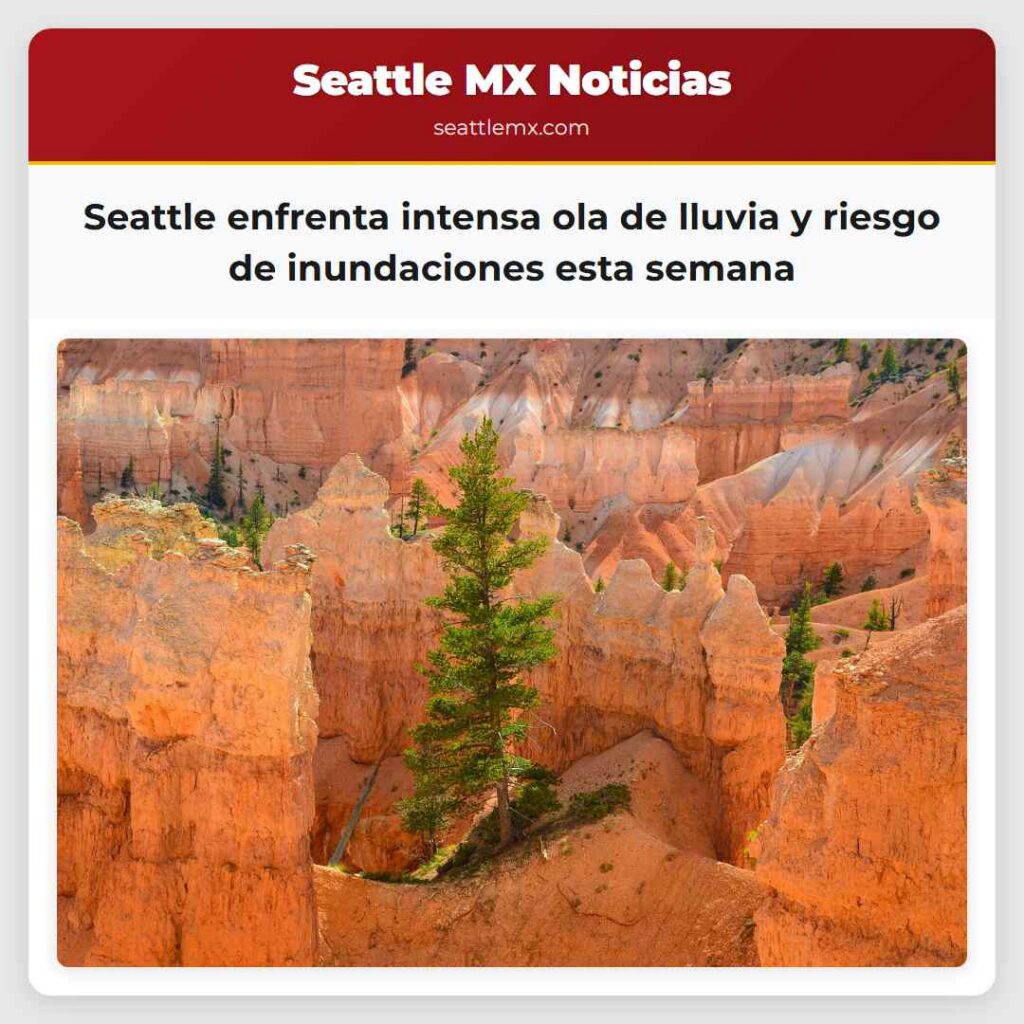 Seattle enfrenta intensa ola de lluvia y riesgo