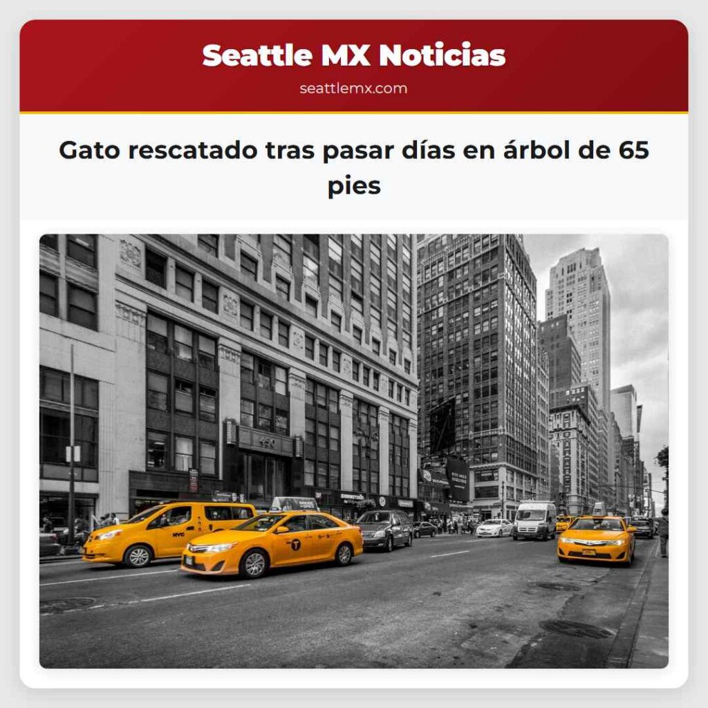 Gato rescatado tras pasar días en árbol de 65 pies