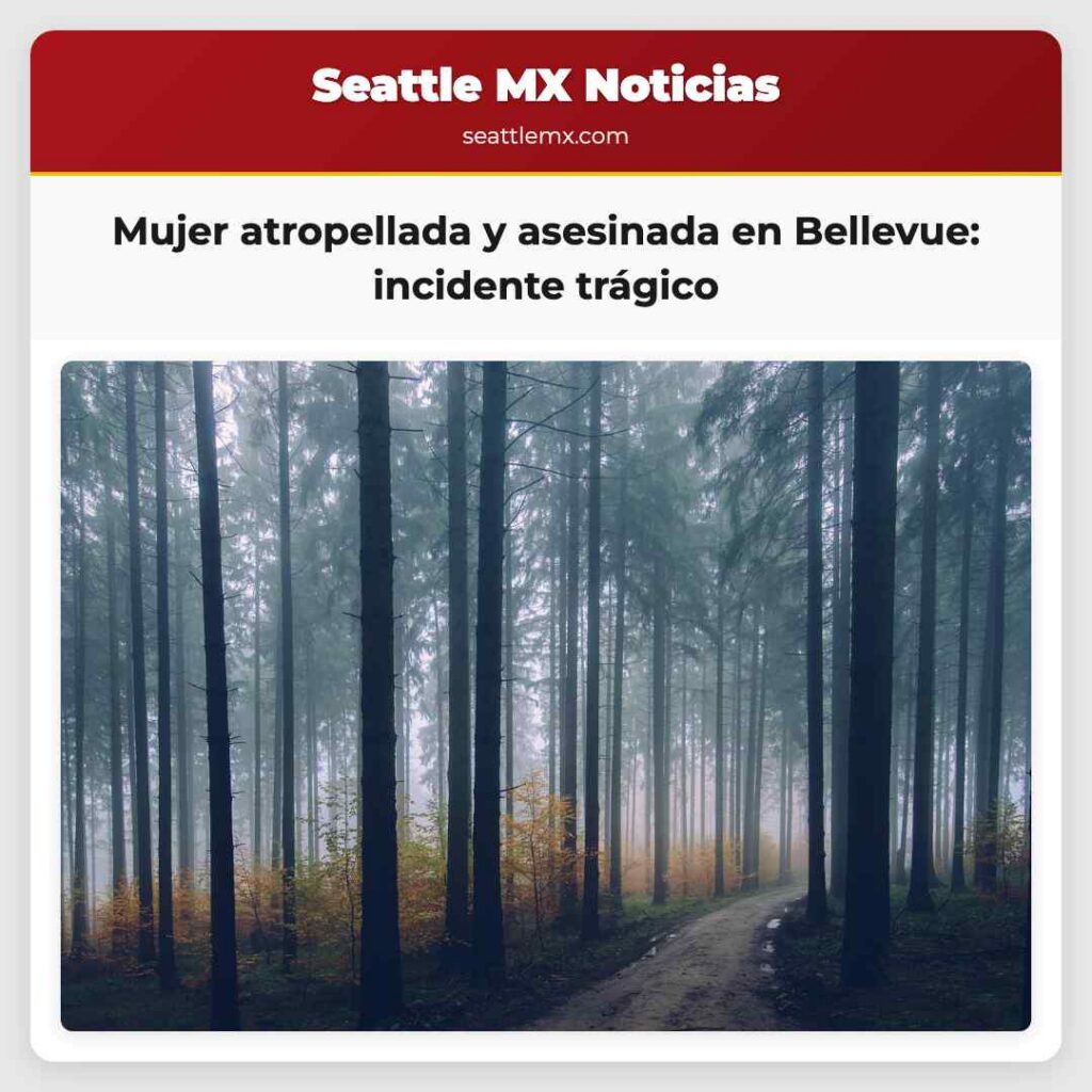 Mujer atropellada y asesinada en Bellevue: