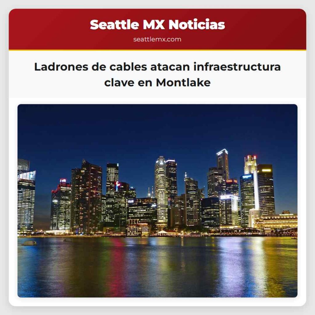 Ladrones de cables atacan infraestructura clave