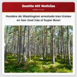 Hombre de Washington arrestado tras tiroteo en San José tras el Super Bowl