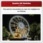 Dos perros malnutridos rescatados en caso de negligencia en Kittitas