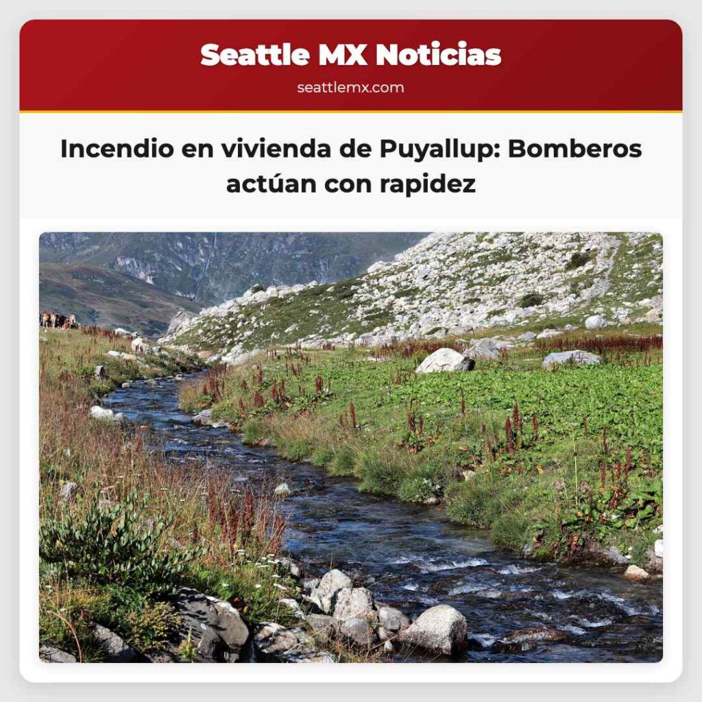 Noticias De Seattle 5 Incendio en vivienda de Puyallup: Bomberos actúan