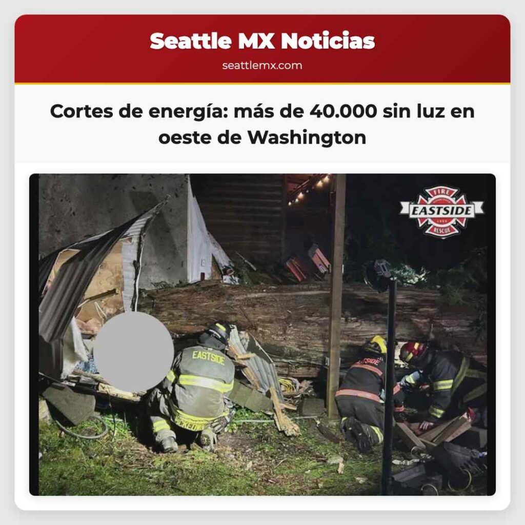 Cortes de energía: más de 40.000 sin luz en oeste