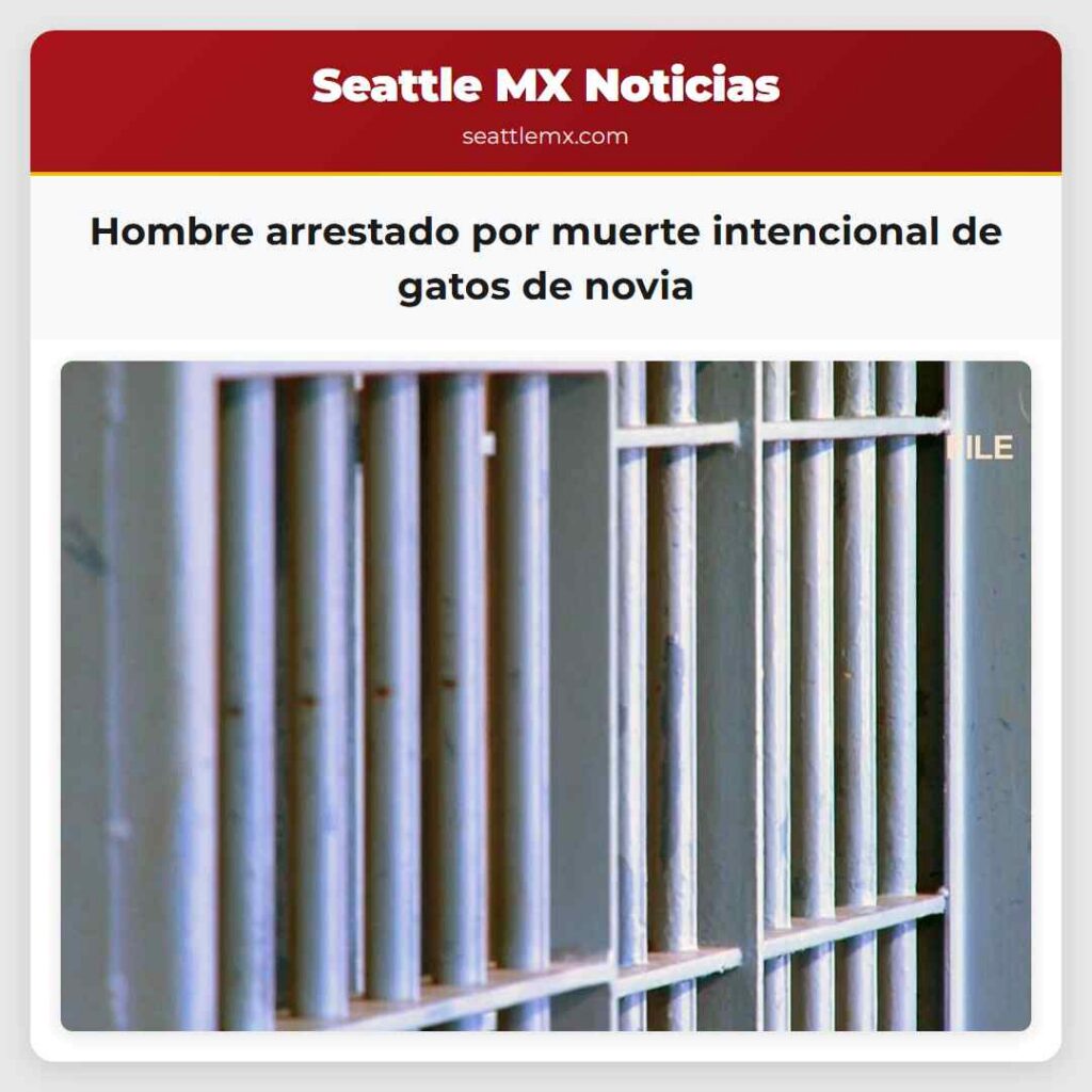 Hombre arrestado por muerte intencional de gatos