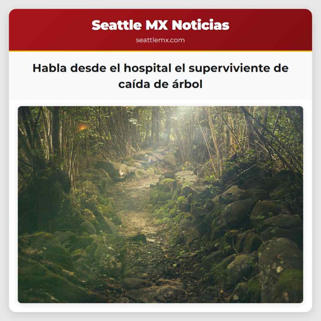 Habla desde el hospital el superviviente de caída