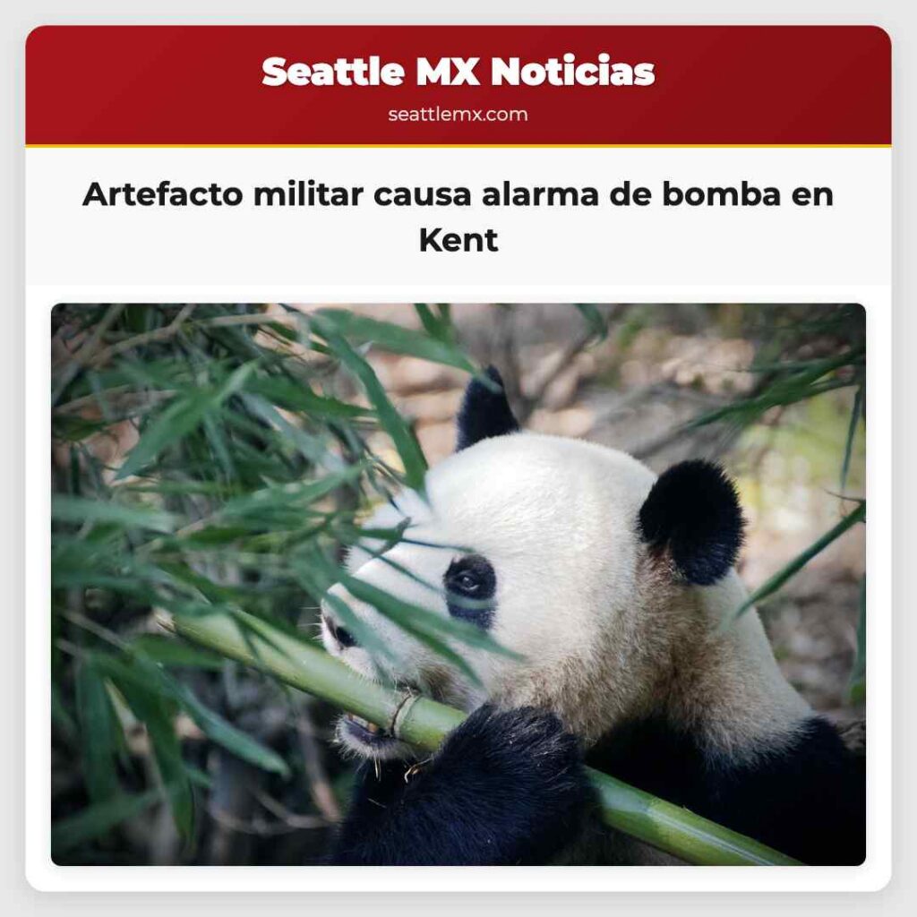 Artefacto militar causa alarma de bomba en Kent