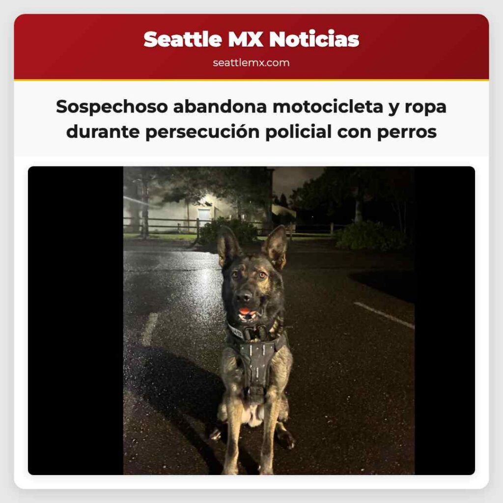 Sospechoso abandona motocicleta y ropa durante