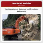 Vientos fuertes detienen las labores de desbroce en la I-5 norte cerca de Bellingham
