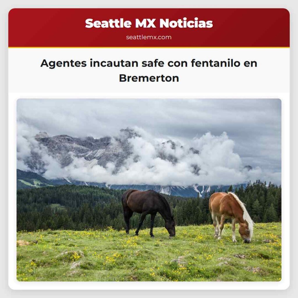 Agentes incautan safe con fentanilo en Bremerton