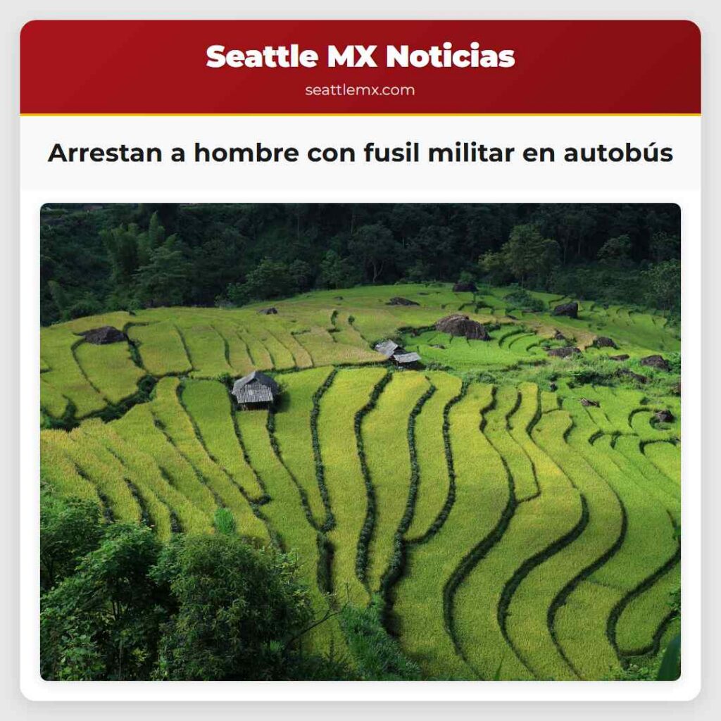 Arrestan a hombre con fusil militar en autobús