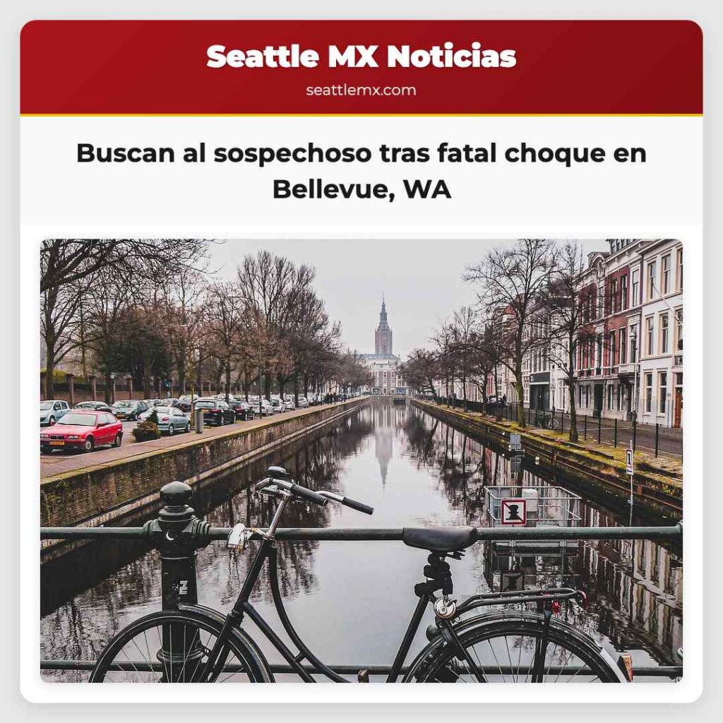 Buscan al sospechoso tras fatal choque en