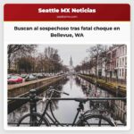 Buscan al sospechoso tras fatal choque en Bellevue WA