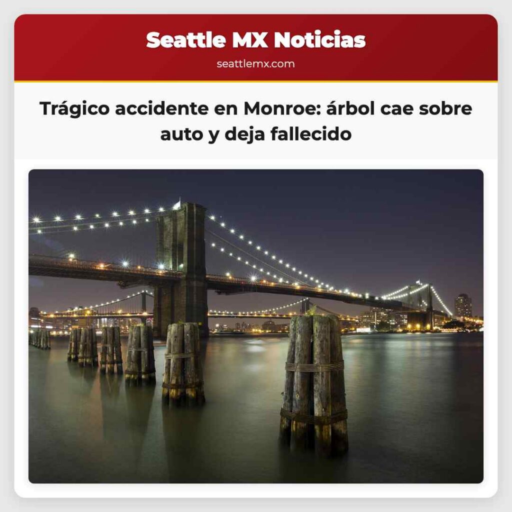 Trágico accidente en Monroe: árbol cae sobre auto