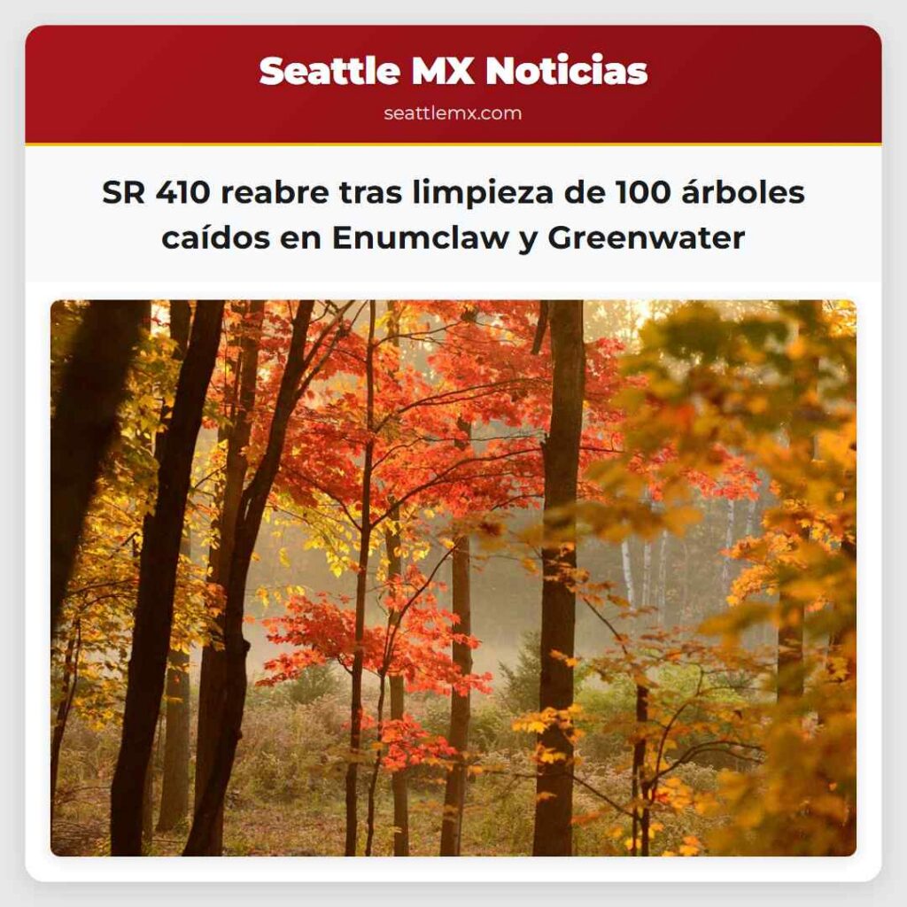 SR 410 reabre tras limpieza de 100 árboles caídos