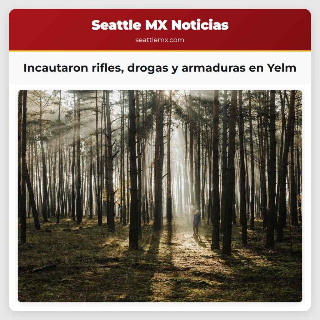 Incautaron rifles, drogas y armaduras en Yelm