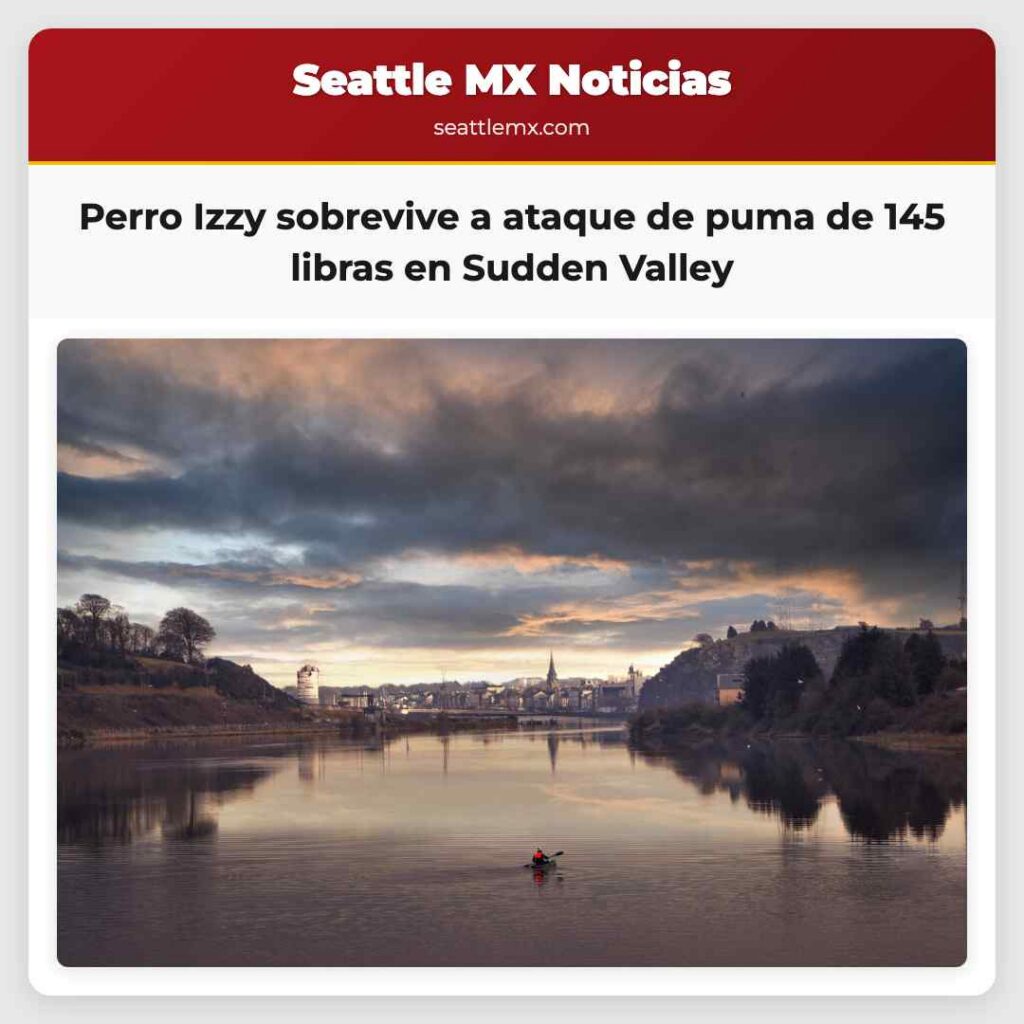 Perro Izzy sobrevive a ataque de puma de 145