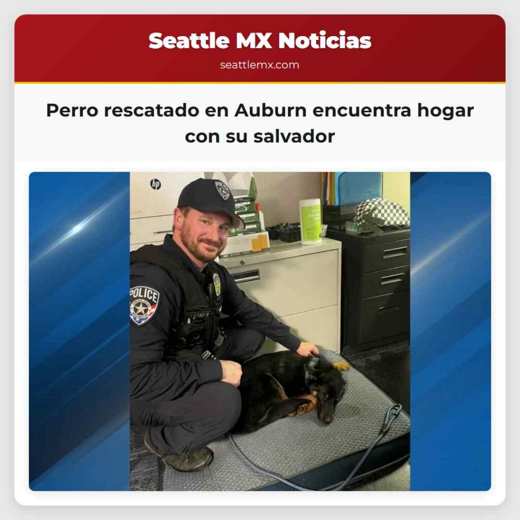 Perro rescatado en Auburn encuentra hogar con su
