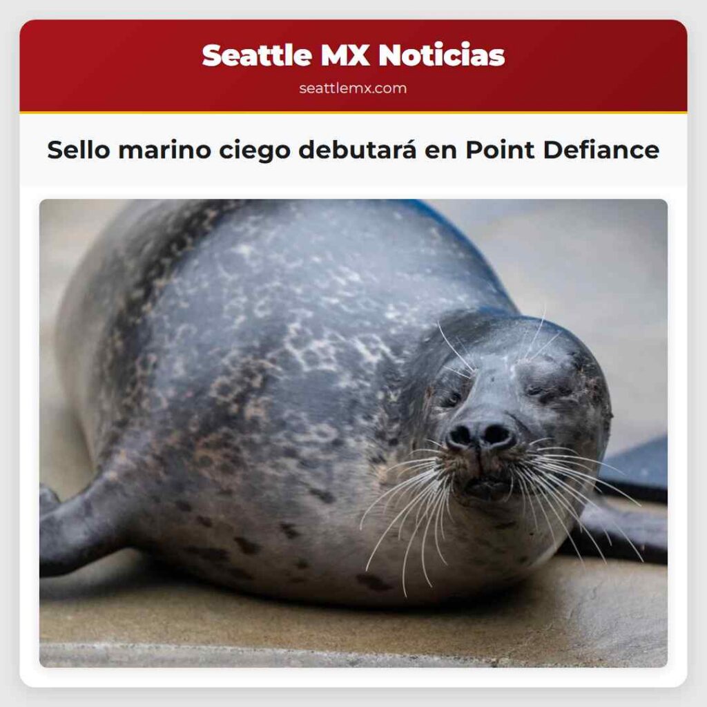 Sello marino ciego debutará en Point Defiance