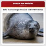 El sello marino ciego Onion se presenta en la zona de Roca Costera del Zoológico de Point Defiance