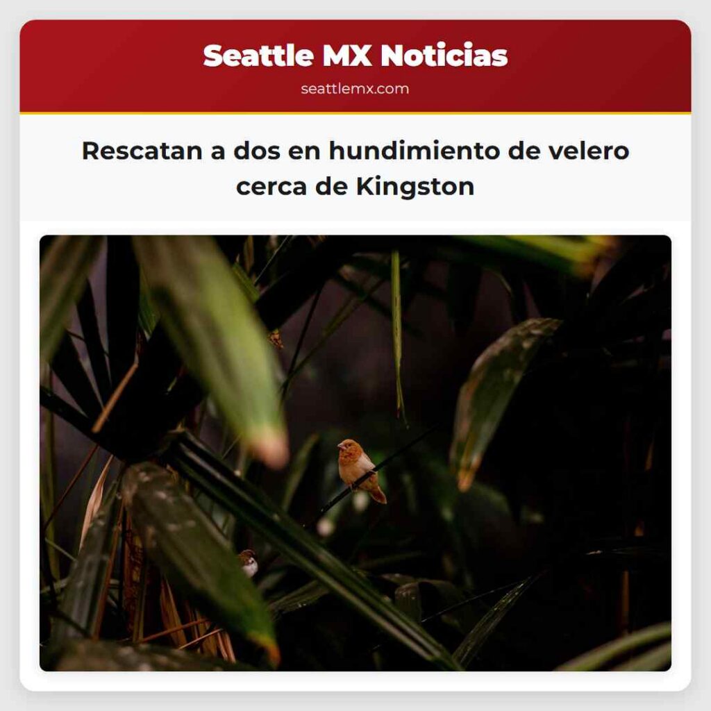 Rescatan a dos en hundimiento de velero cerca de