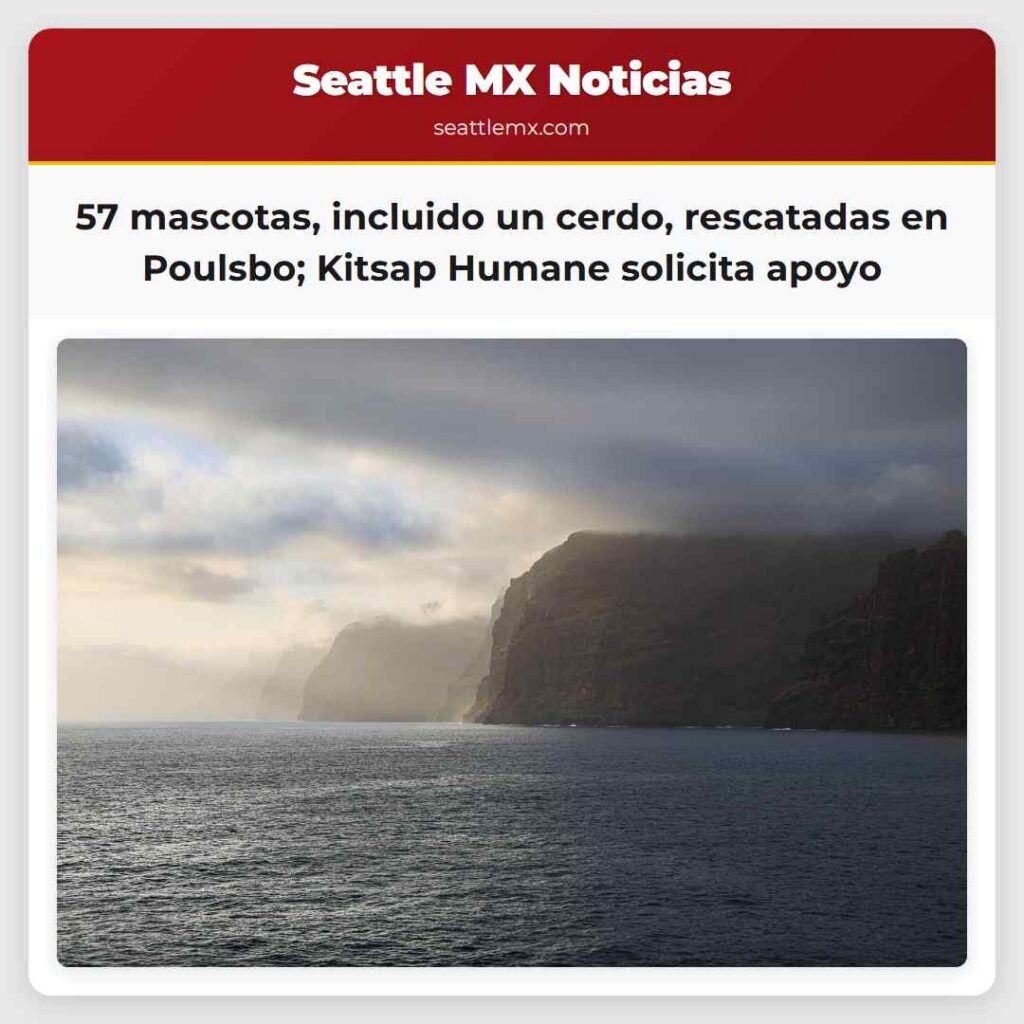 57 mascotas, incluido un cerdo, rescatadas en