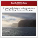 Casi 60 mascotas entre ellas un cerdo rescatadas de una vivienda en Poulsbo Kitsap Humane pide apoyo comunitario