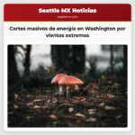 Cortes masivos de energía en Washington por vientos extremos